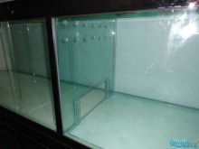 龍魚進新缸幾天喂食幾天換水一次好：龍魚進新缸后的喂食和換水頻率應該怎么調整