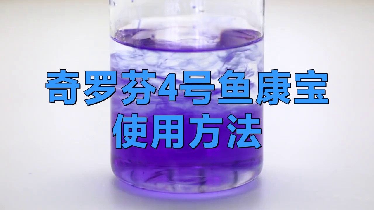 銀龍魚爛鱗圖片大全高清