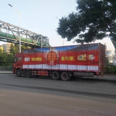 金龍魚汽車般票：\"金龍魚汽車般票\"