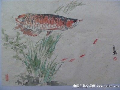 龍魚國畫：國畫中的龍魚寓意“吉祥”，“魚”寓意“富足”，寓意“富足”