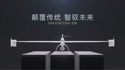 道統龍魚（道通龍魚系列無人機）