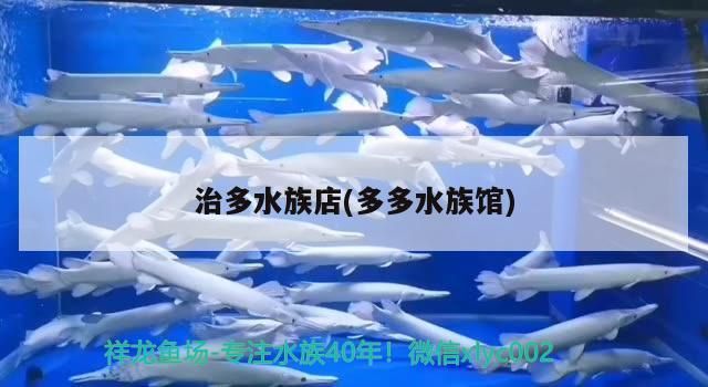治多水族店(多多水族館)