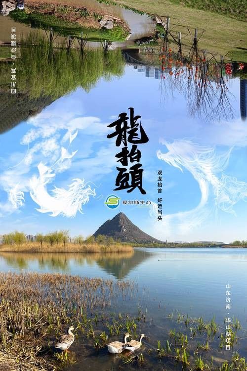有沒有動態雙龍圖壁紙？