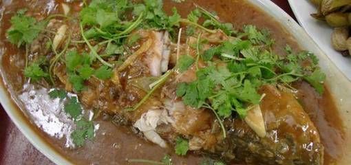 龍魚的肉類食物選擇（龍魚可以吃牛肉、豬肉、羊肉嗎？）