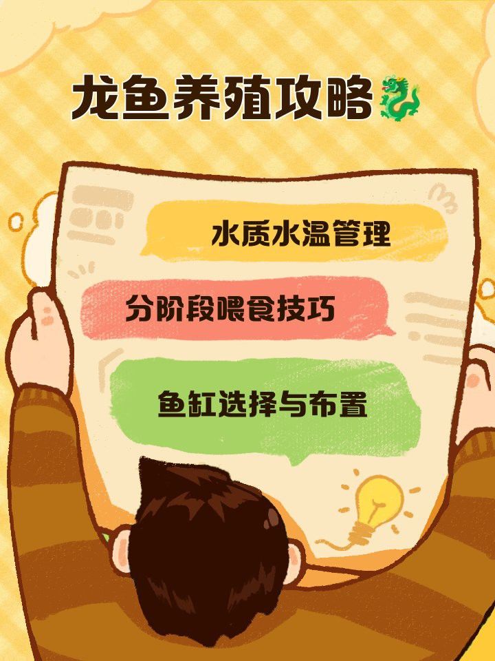 海南養龍魚一定要用加熱棒嗎為什么