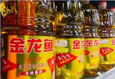 金龍魚幾個品種區(qū)別在哪里：金龍魚和寶石金龍魚的區(qū)別