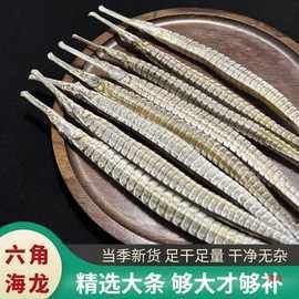 海龍魚貴嗎