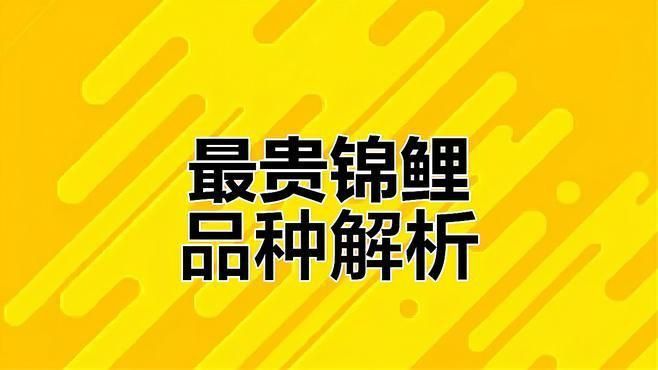錦鯉大正和昭和哪個貴