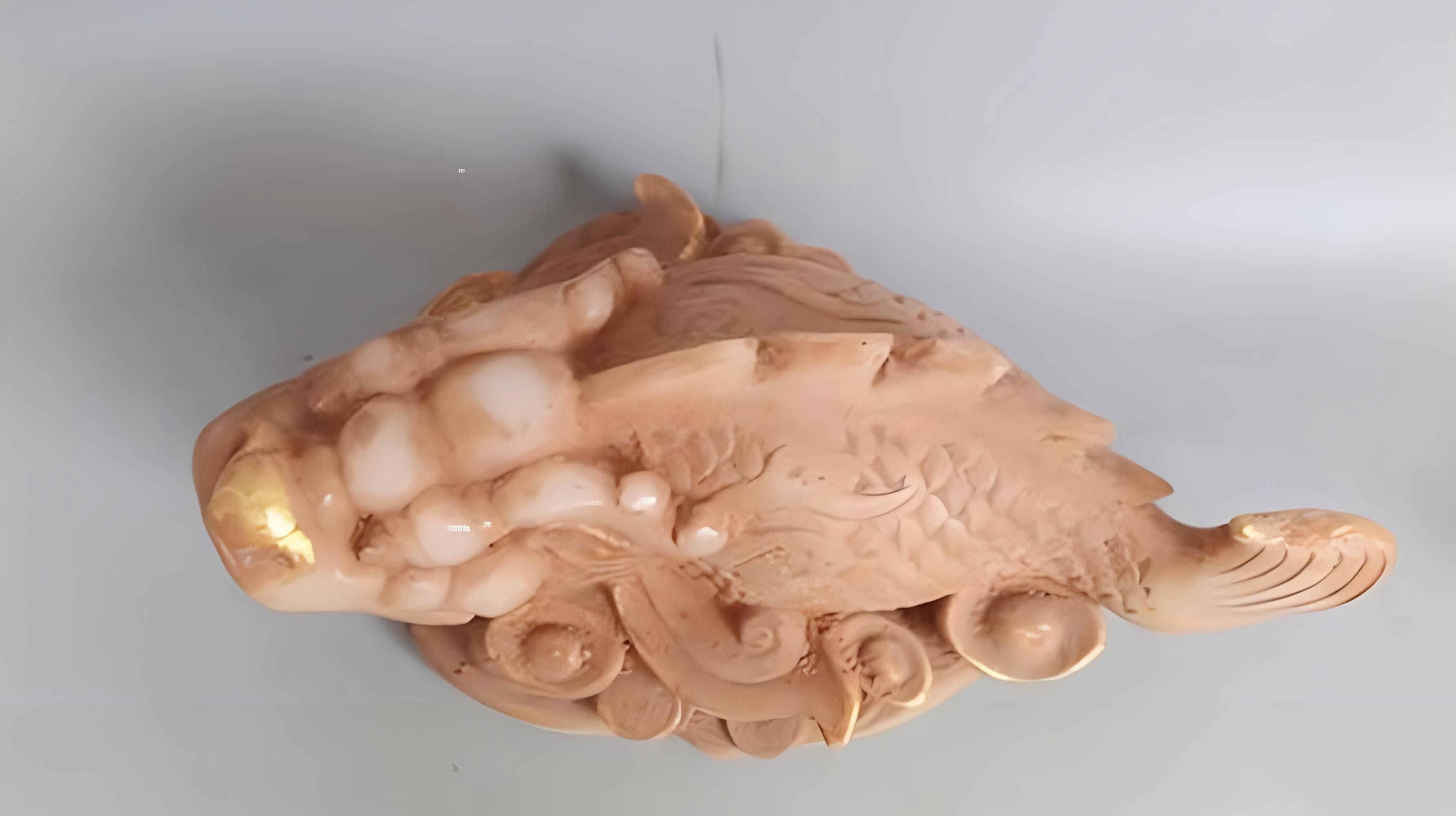 龍魚象征著什么吉祥物呢