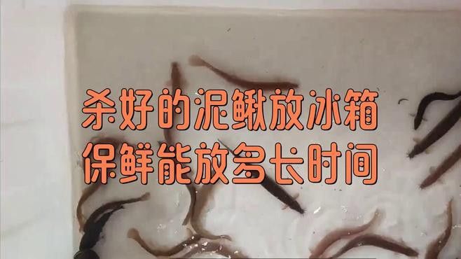 泥鰍處理后如何保存？