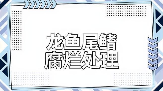 龍魚爛尾病初期如何治療？