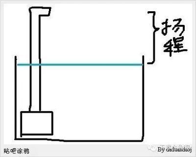 龍魚缸水泵流量多少合適：龍魚缸水泵流量如何選擇