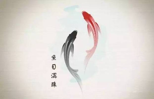 龍魚打傷喂點什么營養好得快一點：龍魚在受傷后，選擇合適的營養食物對其恢復至關重要