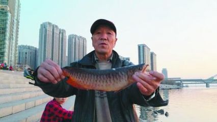 銀龍魚可以放生嗎（銀龍魚可以放生嗎？）