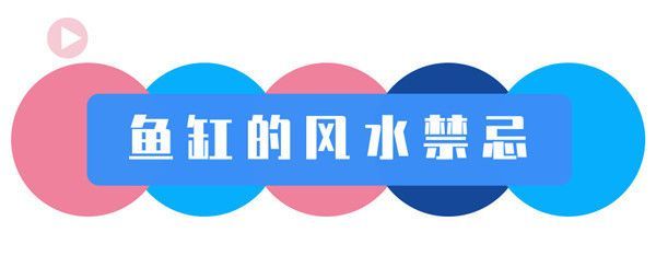 風水魚缸正對入戶門好嗎（入戶門風水布局技巧魚缸擺放的最佳位置）