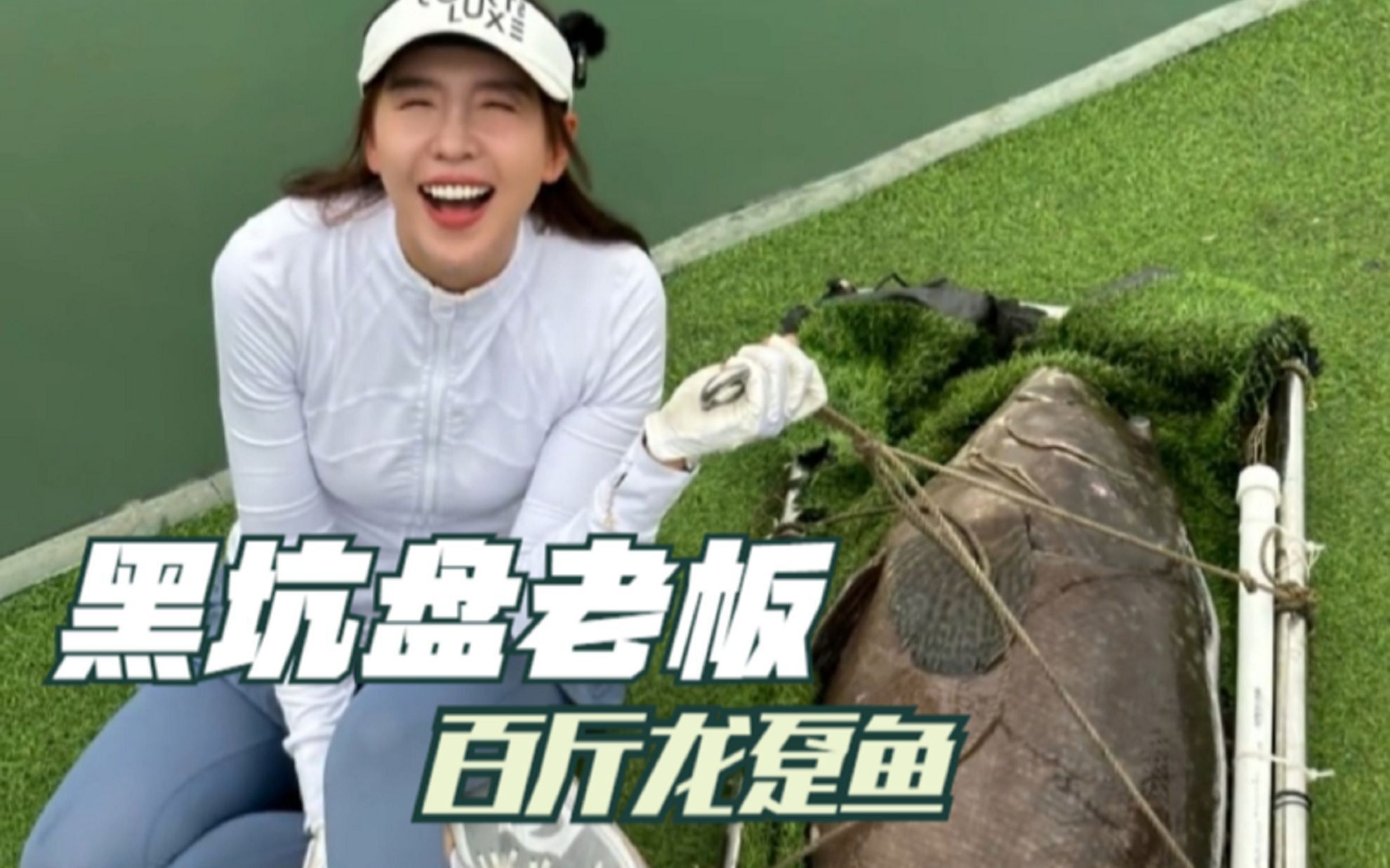 龍魚為什么老在下面趴著：龍魚為什么會(huì)趴缸