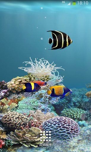 動態龍魚壁紙有哪些推薦軟件？