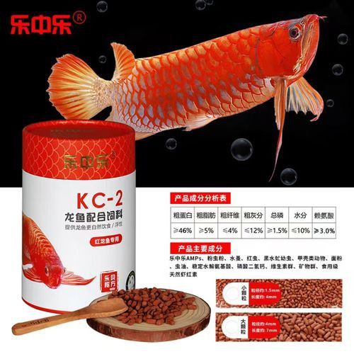 紅龍魚吃什么好養活一點