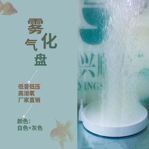 有哪些增氧設備適合小火龍魚？