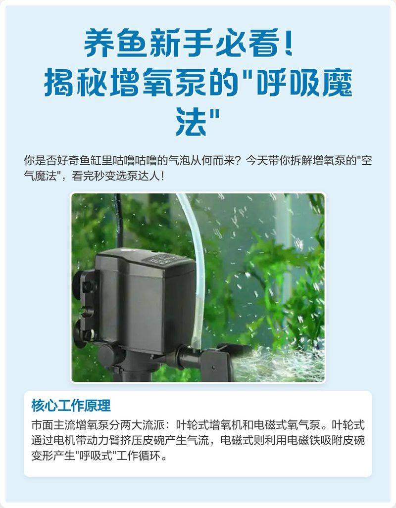 有哪些增氧設備適合小火龍魚？