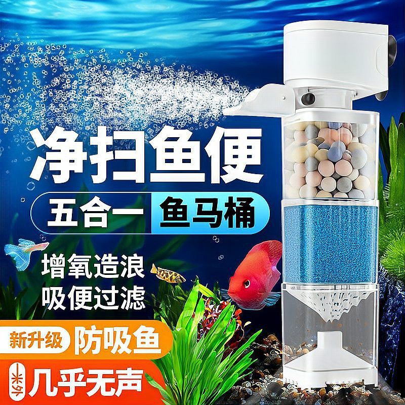 有哪些增氧設備適合小火龍魚？