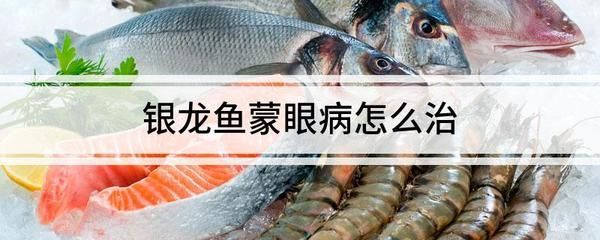 用青霉素能治療銀龍魚蒙眼病嗎：銀龍魚蒙眼病對人類的過敏風險有不同的觀點和建議