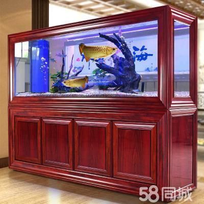 龍魚換水用什么工具最好：龍魚換水頻率及注意事項
