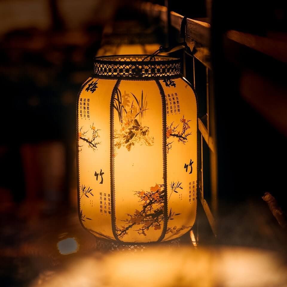 錦鯉蝴蝶魚圖片