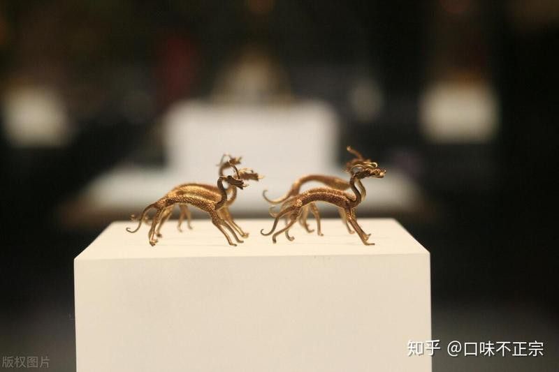紅龍與陶安公有何關(guān)聯(lián)？ 紅龍與陶安公有何關(guān)聯(lián)？ 龍魚百科 第1張