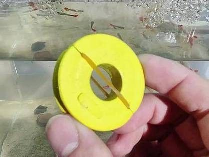 龍魚跳缸還能活嗎圖片視頻
