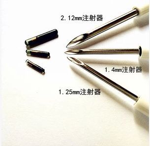 龍魚的芯片是什么材質做的:關于龍魚芯片的一般信息 龍魚百科 第4張 龍魚的芯片是什么材質做的:關于龍魚芯片的一般信息 龍魚的芯片是什么材質做的:關于龍魚芯片的一般信息 龍魚百科 第4張