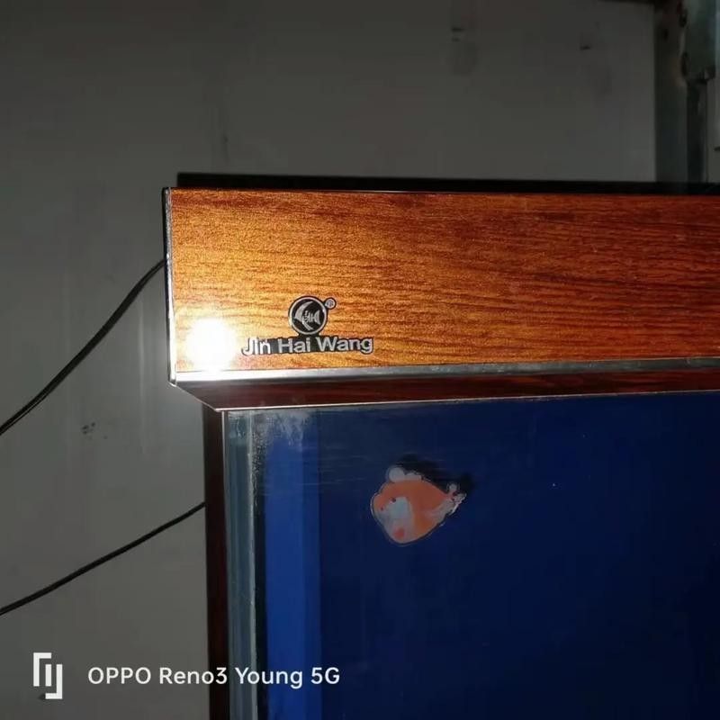 龍魚缸品牌推薦