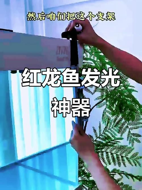 推薦幾款適合拍攝紅龍魚的專業(yè)設(shè)備