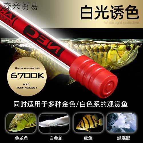 推薦幾款適合拍攝紅龍魚的專業(yè)設(shè)備