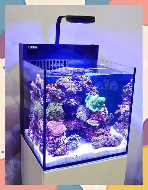 如何改變魚缸底色？