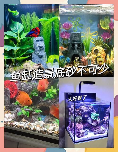 如何改變魚缸底色？