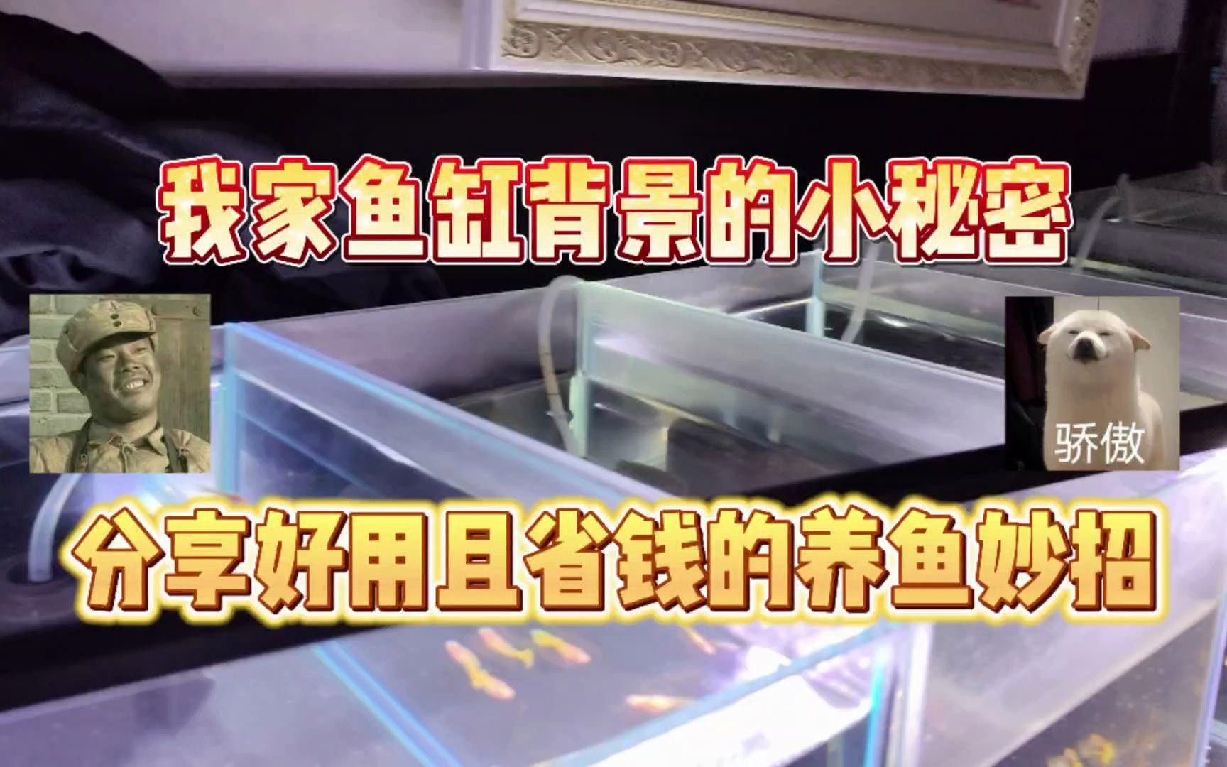 如何改變魚缸底色？