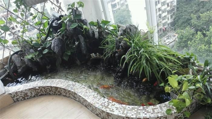 露臺魚池設計效果圖大全