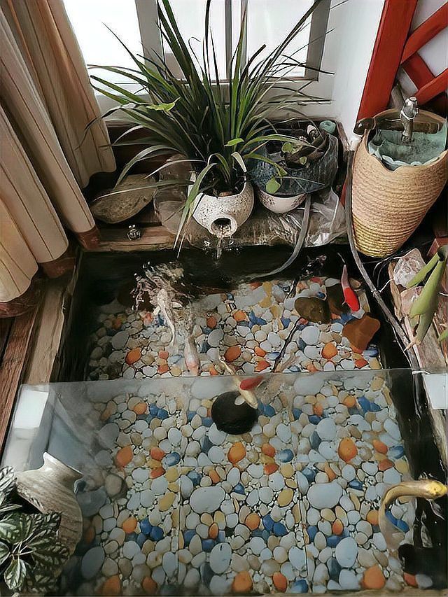 露臺魚池設計效果圖大全
