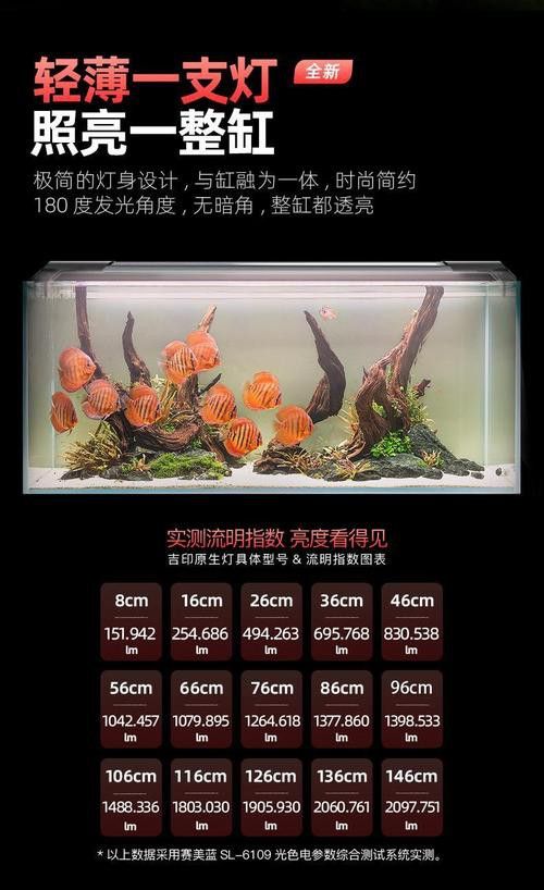 哪個品牌的紅龍魚燈評價最好？