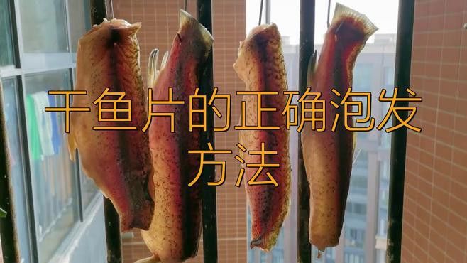 海龍魚干如何泡發？