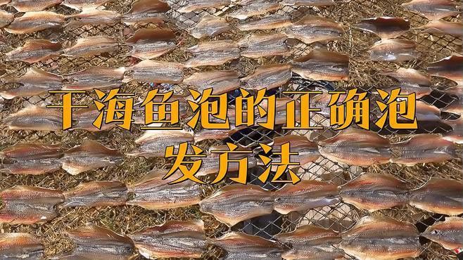 海龍魚干如何泡發？