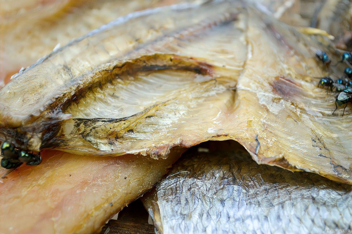 海龍魚干如何泡發？
