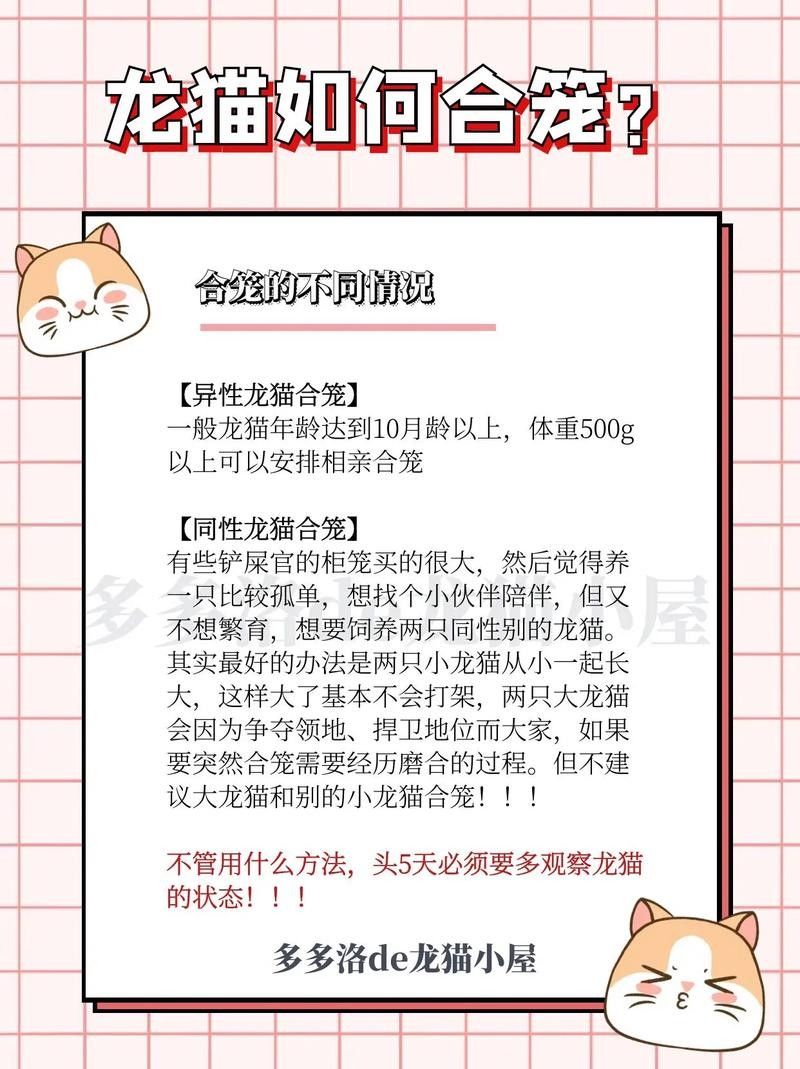 龍貓合籠失敗后應該如何處理？