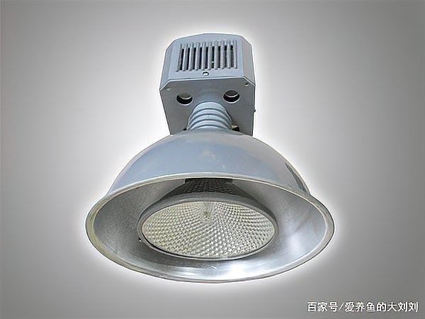 龍魚(yú)燈管好還是led燈好看些