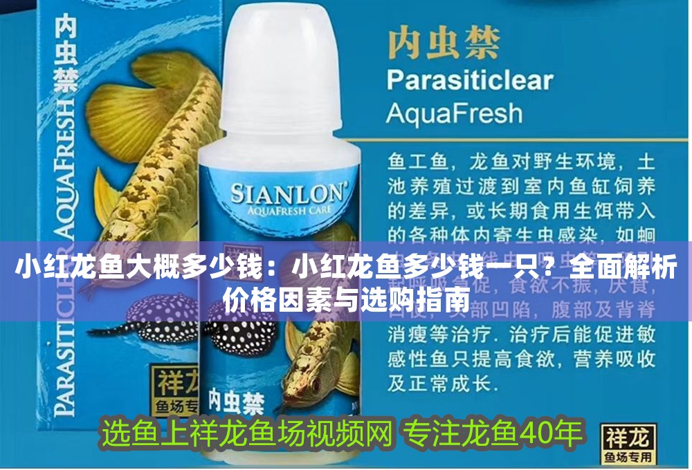 小紅龍魚大概多少錢：小紅龍魚多少錢一只？全面解析價格因素與選購指南