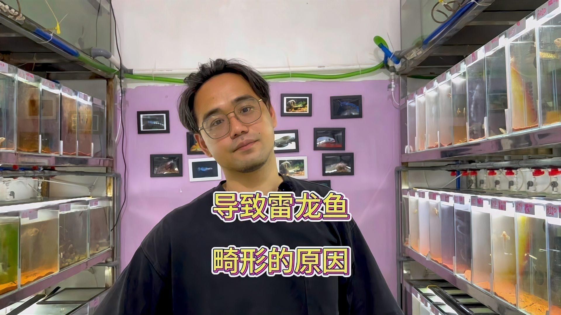 雷龍魚一直趴缸縮鰭