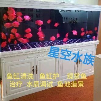 天津龍魚上門回收電話多少啊