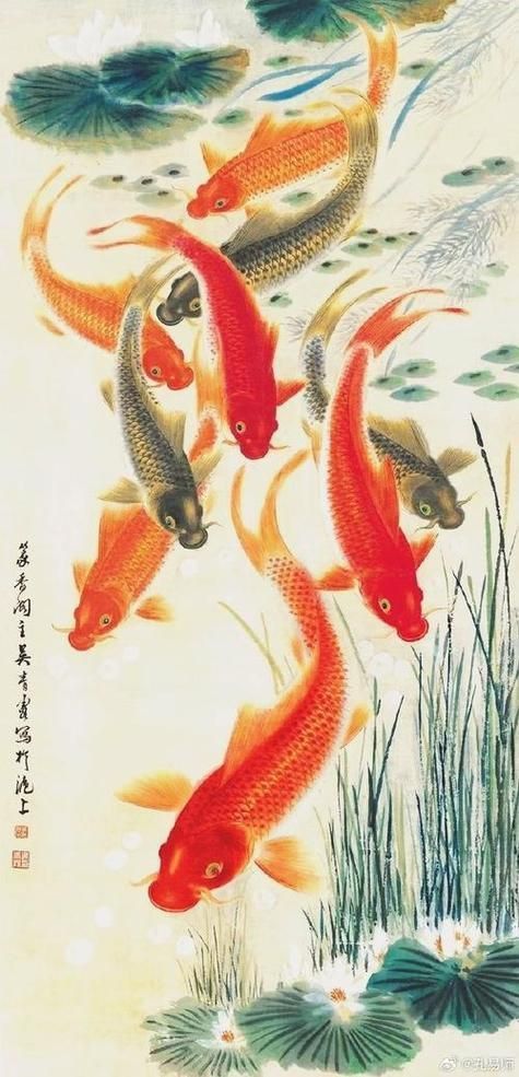 能提供幾張風水魚圖片嗎？