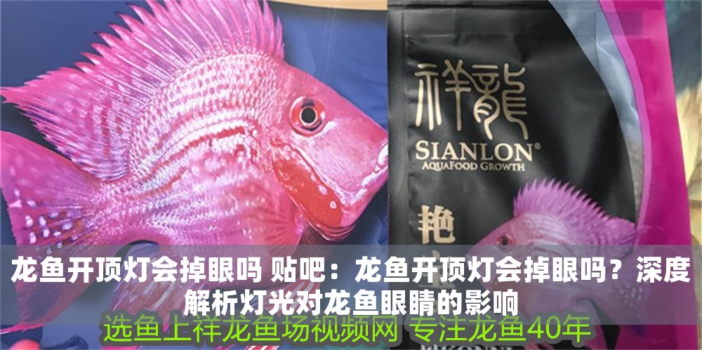 龍魚開頂燈會掉眼嗎 貼吧：龍魚開頂燈會掉眼嗎？深度解析燈光對龍魚眼睛的影響